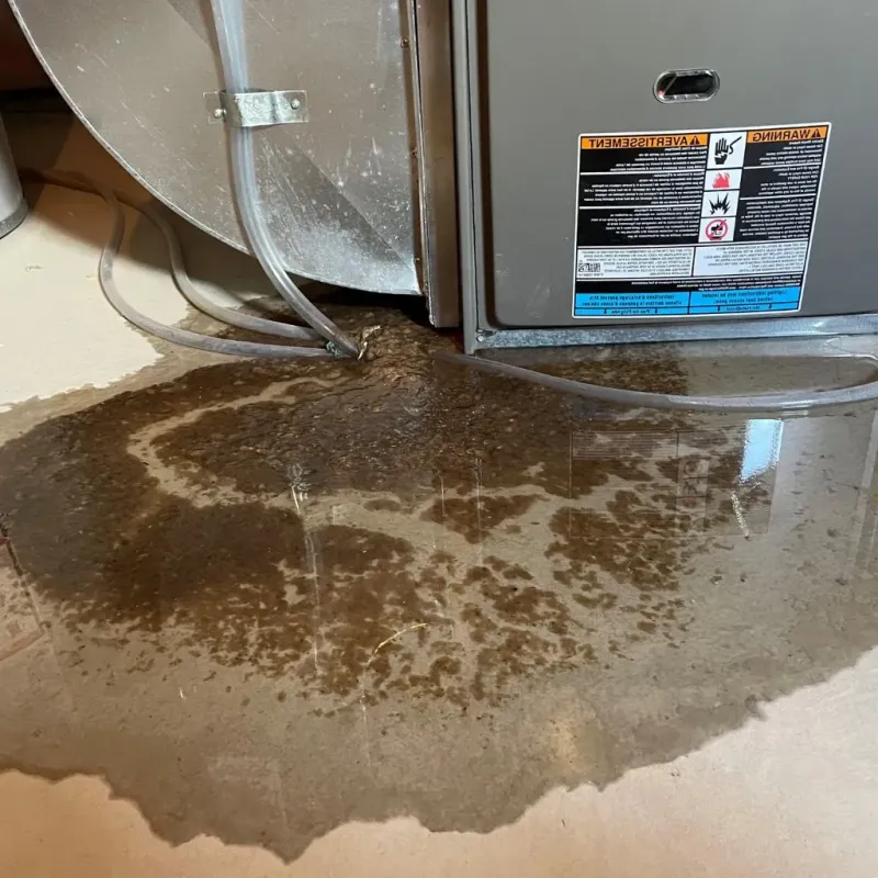 Pipe Burst and Leak Restoration in Pine Knot, KY