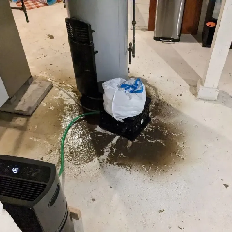 Sewage Backup Cleanup Service in Pine Knot, KY